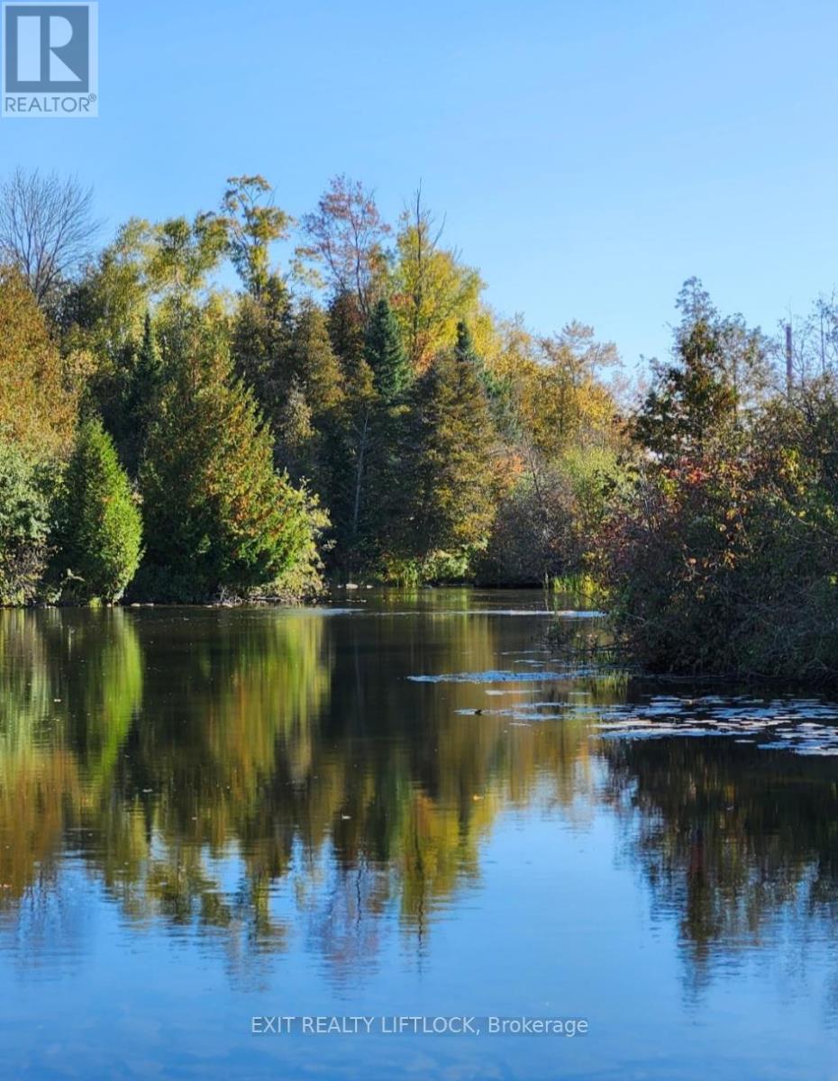 544 County Road 8, Douro-Dummer, Ontario  K0L 2H0 - Photo 40 - X12476524