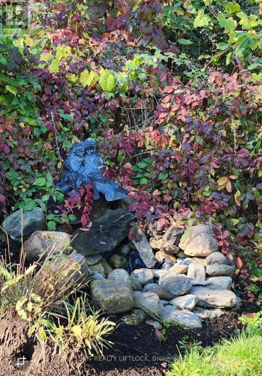 544 County Road 8, Douro-Dummer, Ontario  K0L 2H0 - Photo 44 - X12476524