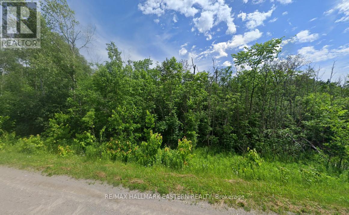 0 MOUNT PLEASANT ROAD, cavan monaghan (cavan twp), Ontario