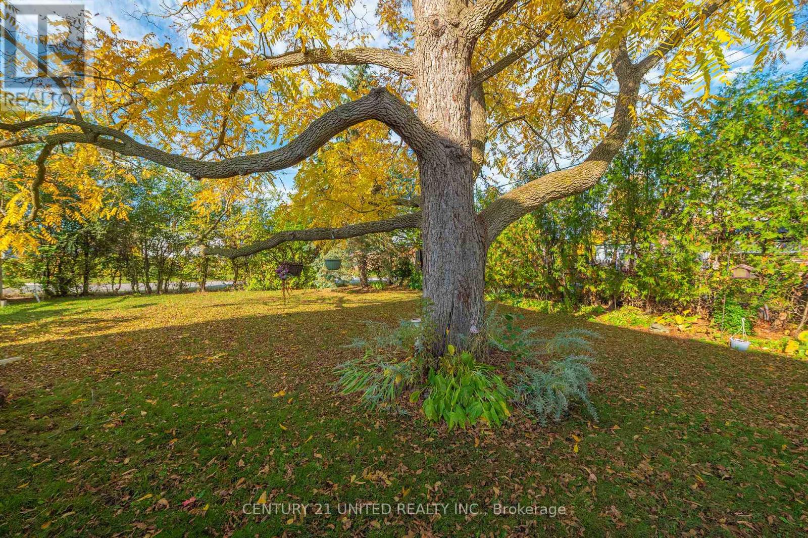 498 Howden Street, Peterborough (Otonabee Ward 1), Ontario  K9J 4B3 - Photo 7 - X12476651