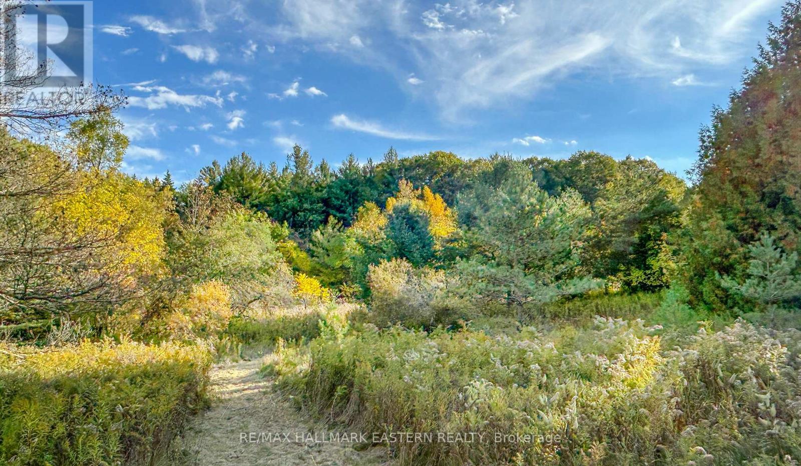 3995 Challice Line, Port Hope, Ontario  L0A 1G0 - Photo 41 - X12477651