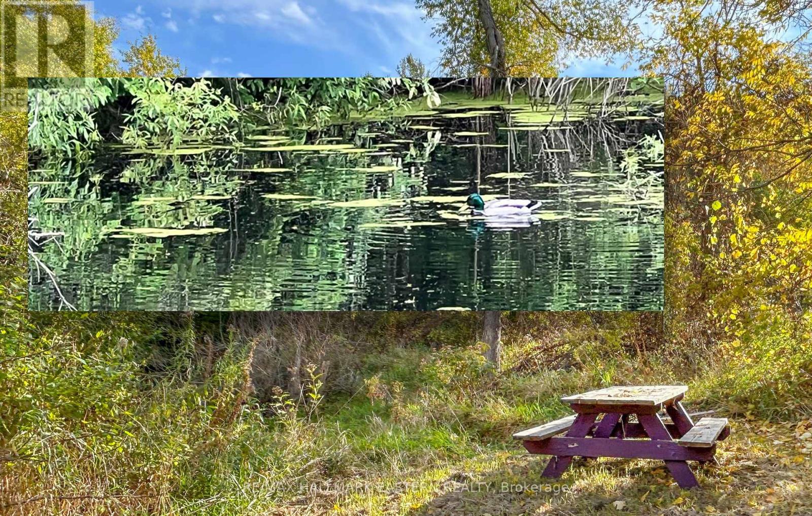 3995 Challice Line, Port Hope, Ontario  L0A 1G0 - Photo 42 - X12477651