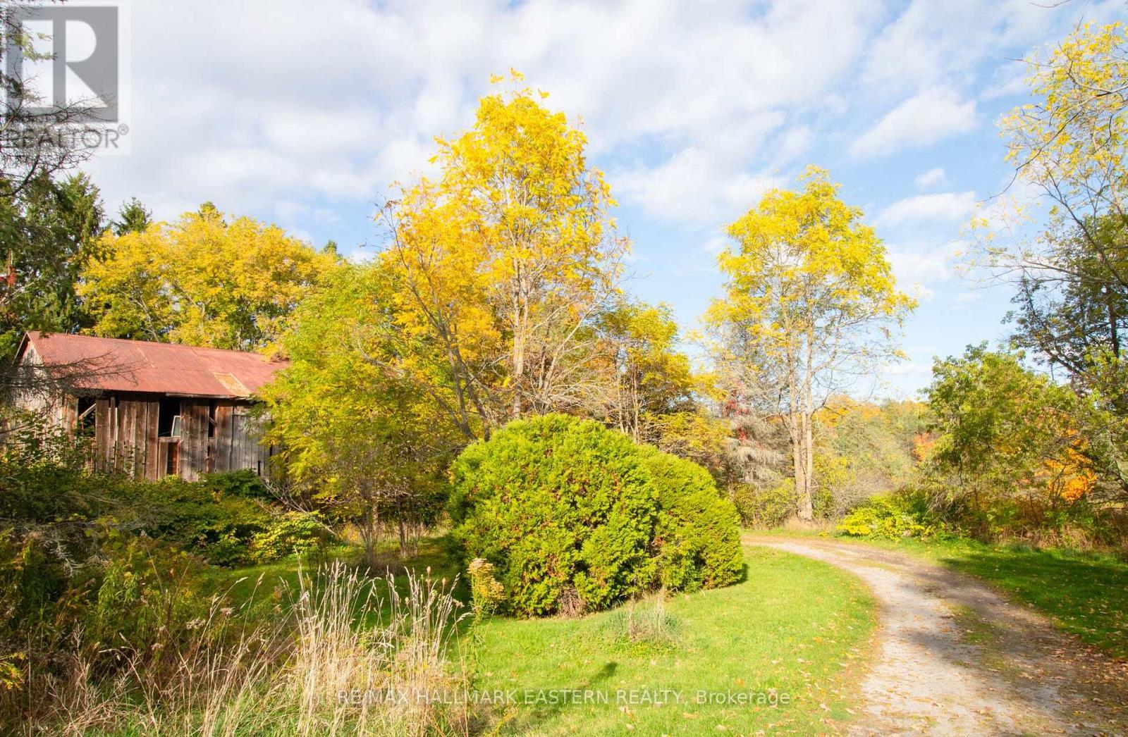 3995 Challice Line, Port Hope, Ontario  L0A 1G0 - Photo 46 - X12477651