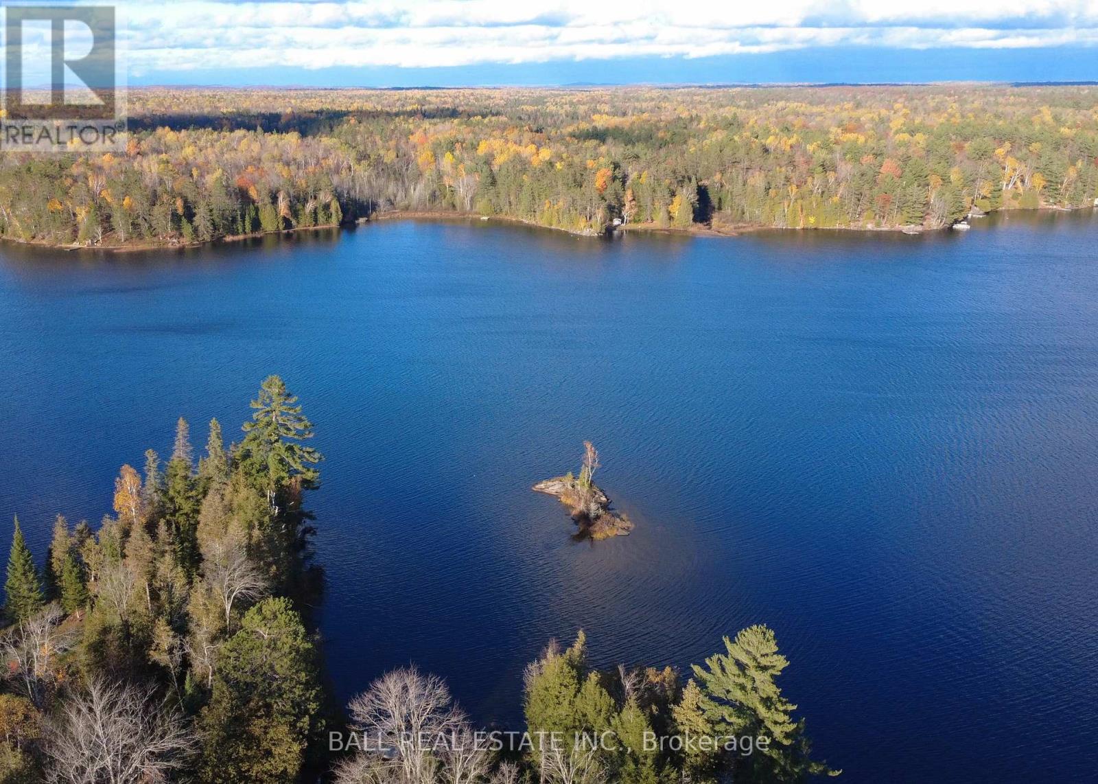 344 Cedarwood Drive, Trent Lakes, Ontario  K0L 1J0 - Photo 35 - X12477998