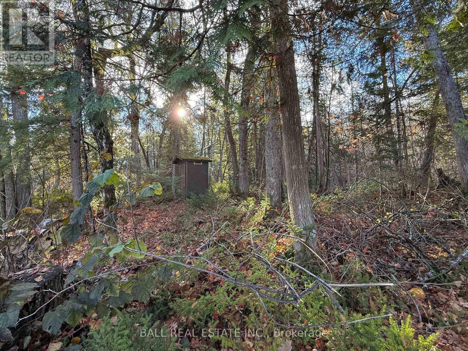 344 Cedarwood Drive, Trent Lakes, Ontario  K0L 1J0 - Photo 44 - X12477998