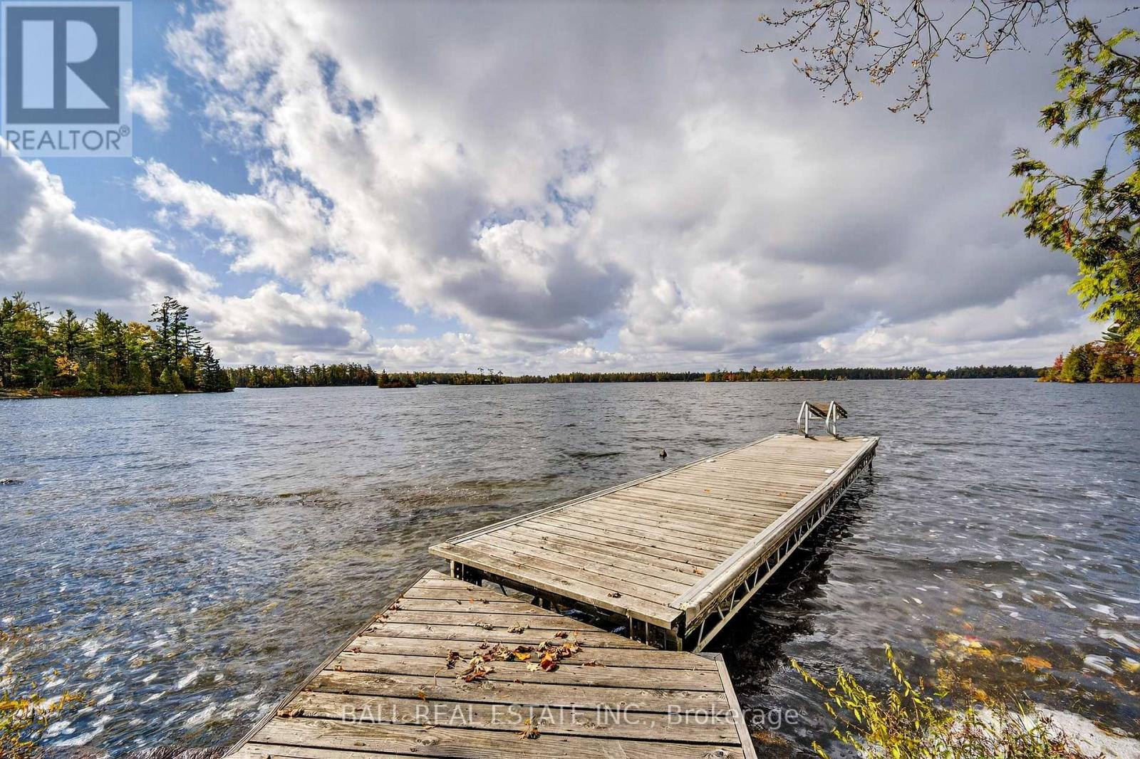 36 Fire Route 7a, Trent Lakes, Ontario  K0L 1J0 - Photo 39 - X12478221