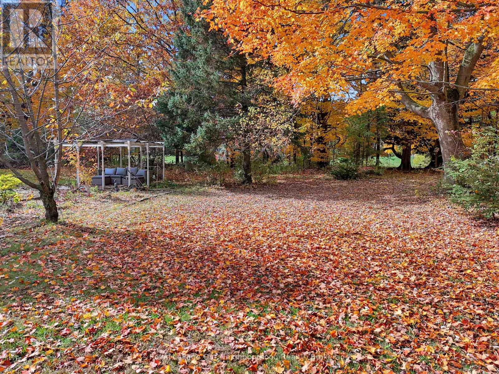 3828 Newtonville Road, Clarington, Ontario  L0A 1J0 - Photo 25 - E12478497