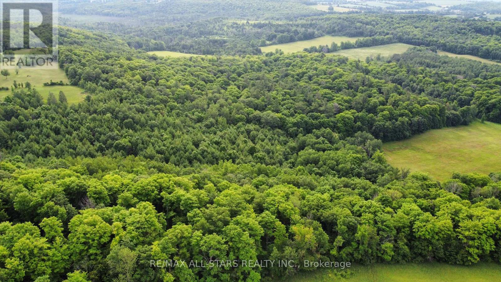 283 Bland Line, Cavan Monaghan (Cavan Twp), Ontario  L0A 1C0 - Photo 10 - X12479171