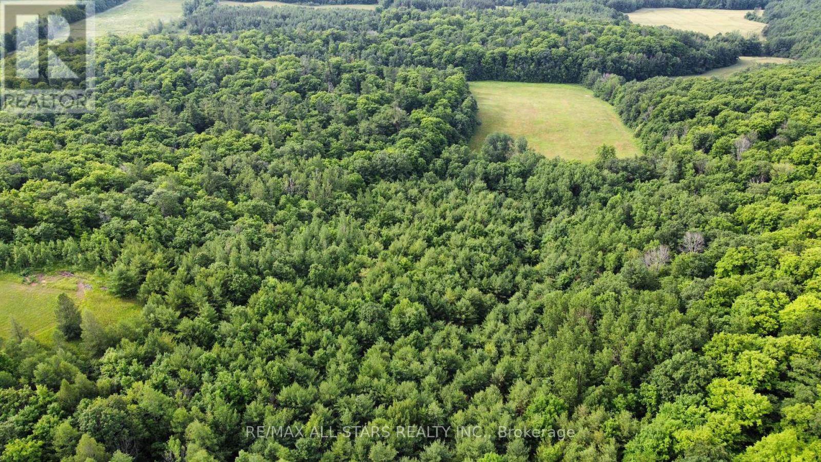 283 Bland Line, Cavan Monaghan (Cavan Twp), Ontario  L0A 1C0 - Photo 8 - X12479171