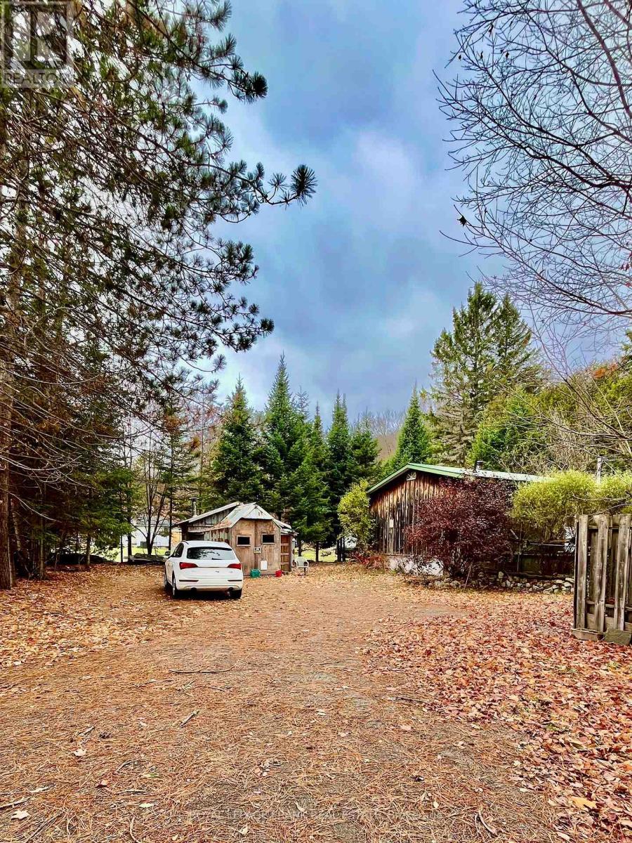 4 Jackson Road, Faraday, Ontario  K0L 1C0 - Photo 3 - X12479242