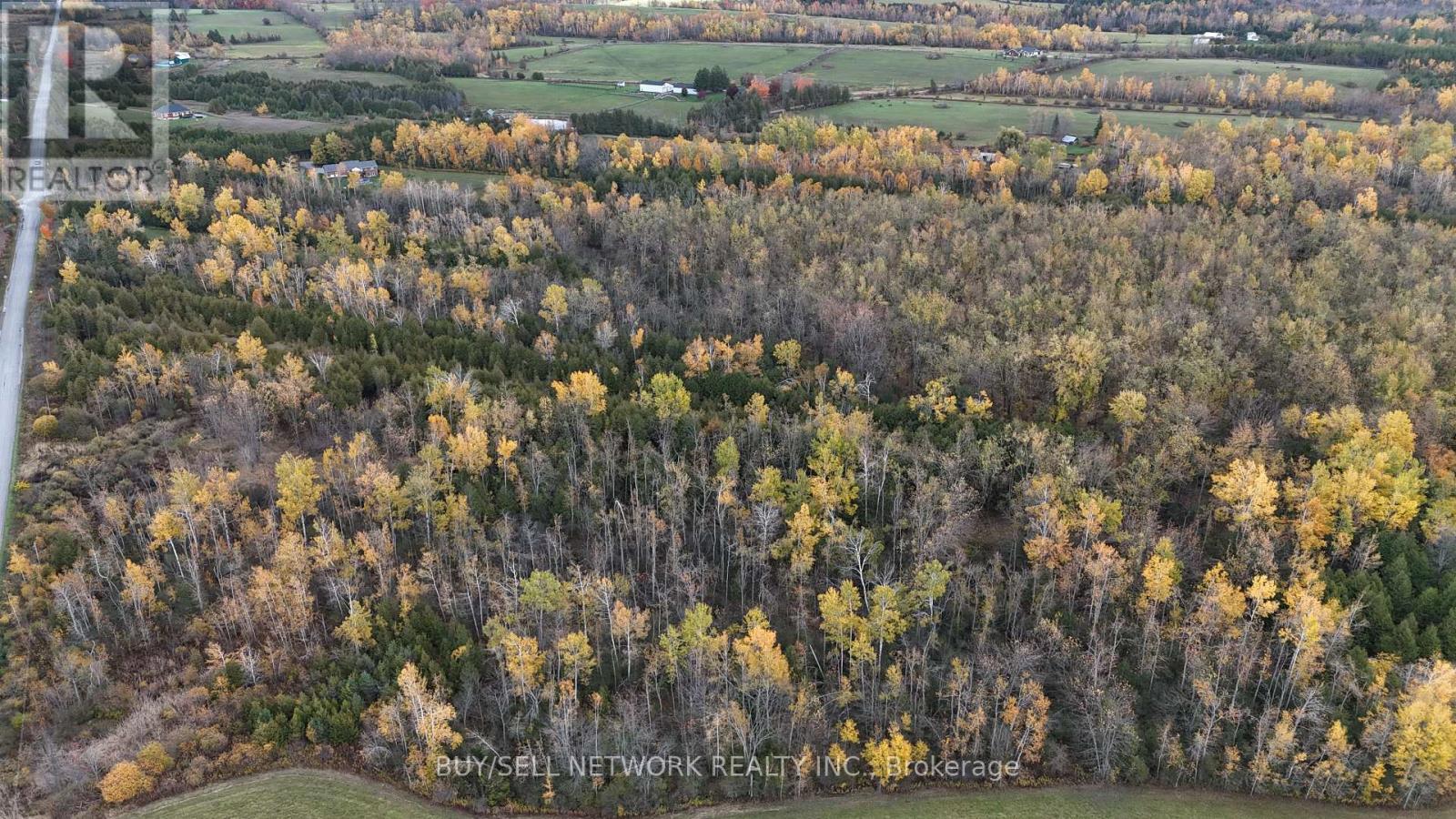 947 Division Road, Otonabee-South Monaghan, Ontario  K0L 2H0 - Photo 29 - X12479554