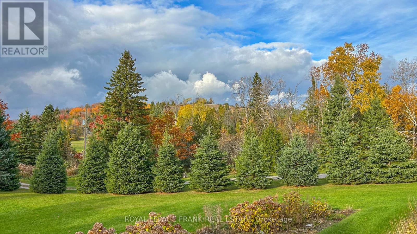 556 Hwy 7a Highway, Kawartha Lakes (Manvers), Ontario  L0A 1A0 - Photo 48 - X12480395