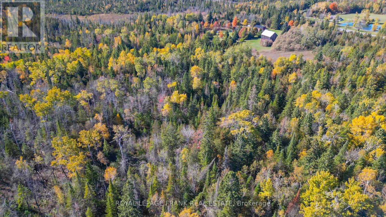 556 Hwy 7a Highway, Kawartha Lakes (Manvers), Ontario  L0A 1A0 - Photo 50 - X12480395