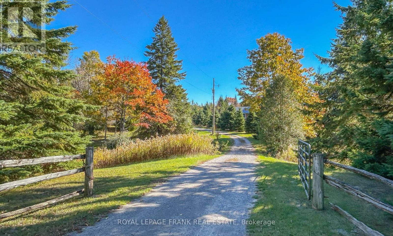 556 Hwy 7a Highway, Kawartha Lakes (Manvers), Ontario  L0A 1A0 - Photo 6 - X12480395