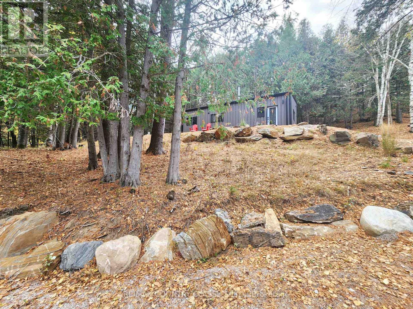 338 Detlor Road, Bancroft (Dungannon Ward), Ontario  K0L 2S0 - Photo 1 - X12480743