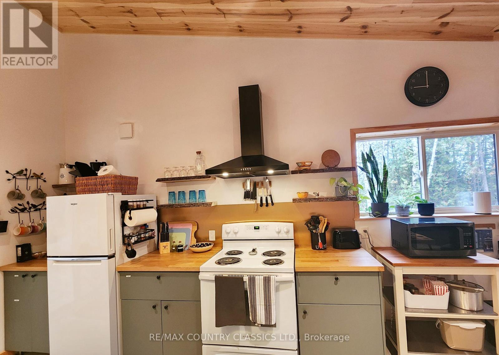 338 Detlor Road, Bancroft (Dungannon Ward), Ontario  K0L 2S0 - Photo 10 - X12480743