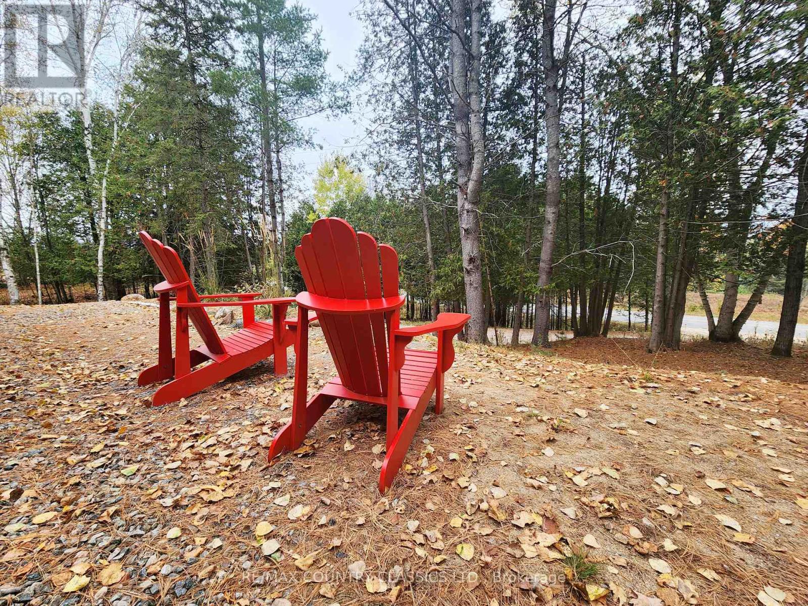 338 Detlor Road, Bancroft (Dungannon Ward), Ontario  K0L 2S0 - Photo 29 - X12480743