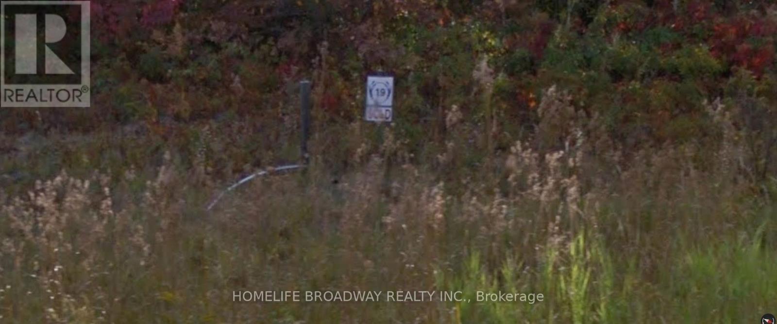 Lot 19 Nicklaus Drive, Bancroft (Bancroft Ward), Ontario  K0L 1C0 - Photo 2 - X12480773