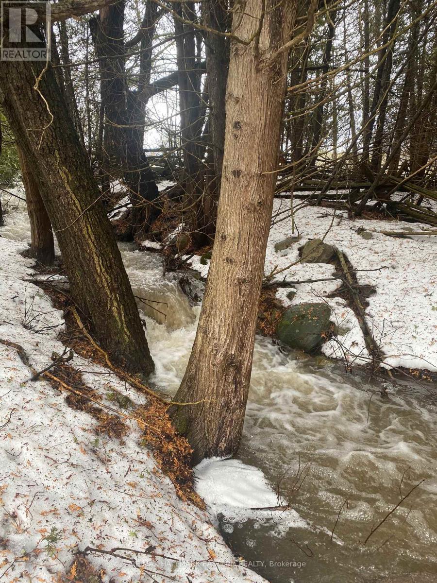 323 Orange Corners Road, Kawartha Lakes (Emily), Ontario  K0L 2W0 - Photo 13 - X12483598