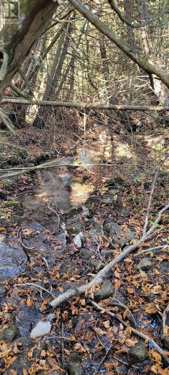 323 Orange Corners Road, Kawartha Lakes (Emily), Ontario  K0L 2W0 - Photo 6 - X12483598