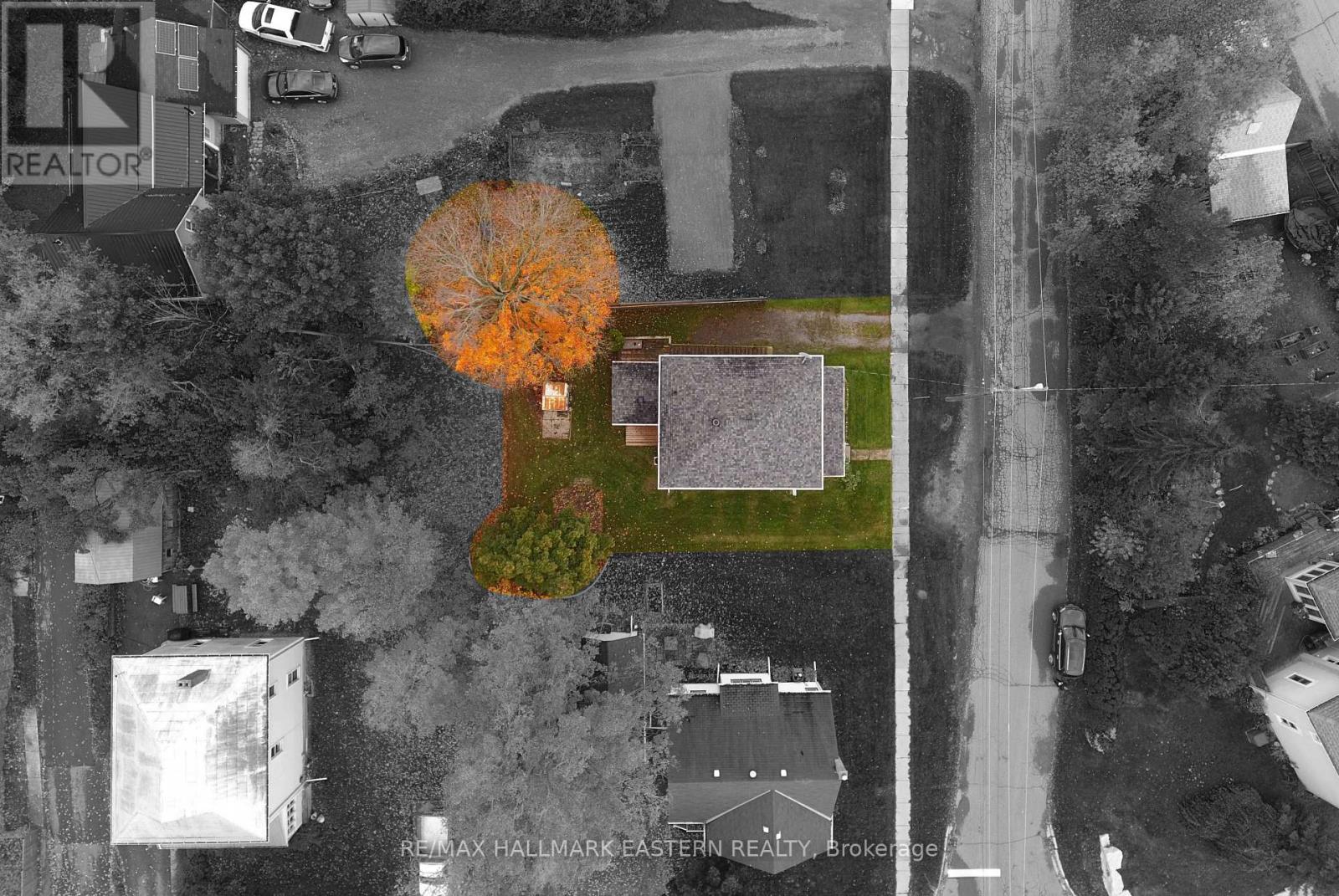 92 Booth Street S, Trent Hills (Campbellford), Ontario  K0L 1L0 - Photo 8 - X12484481