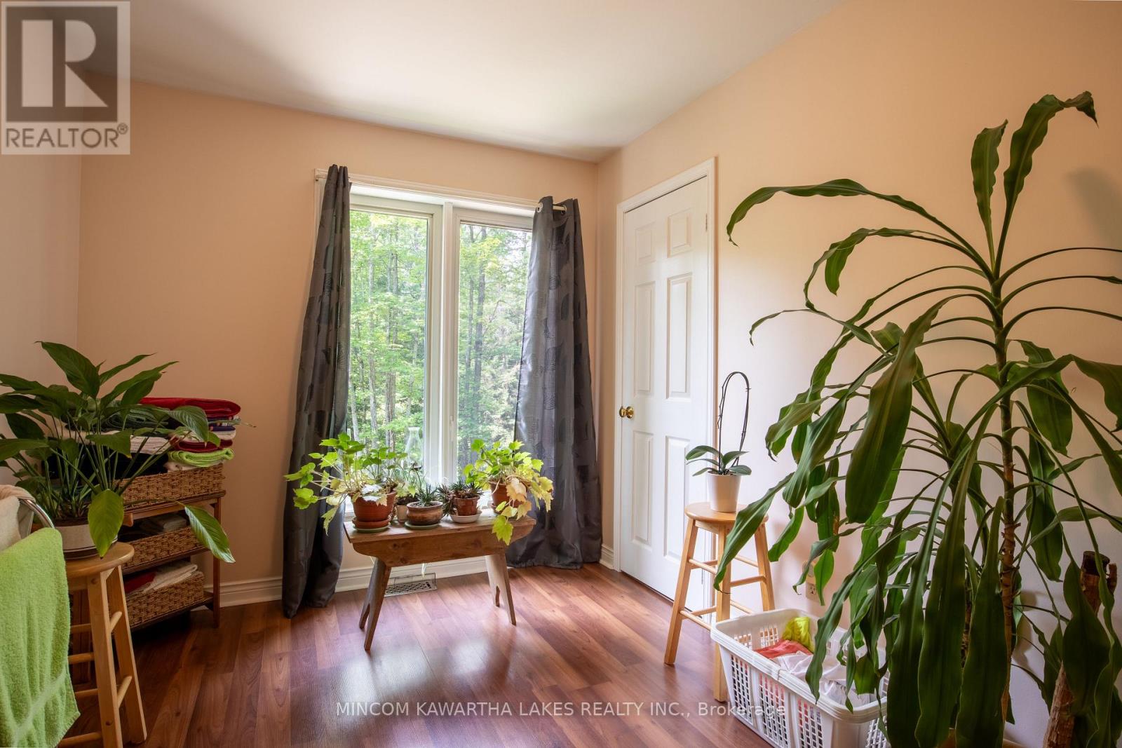 1662 County Rd 504, North Kawartha, Ontario  K0L 1A0 - Photo 30 - X12485017