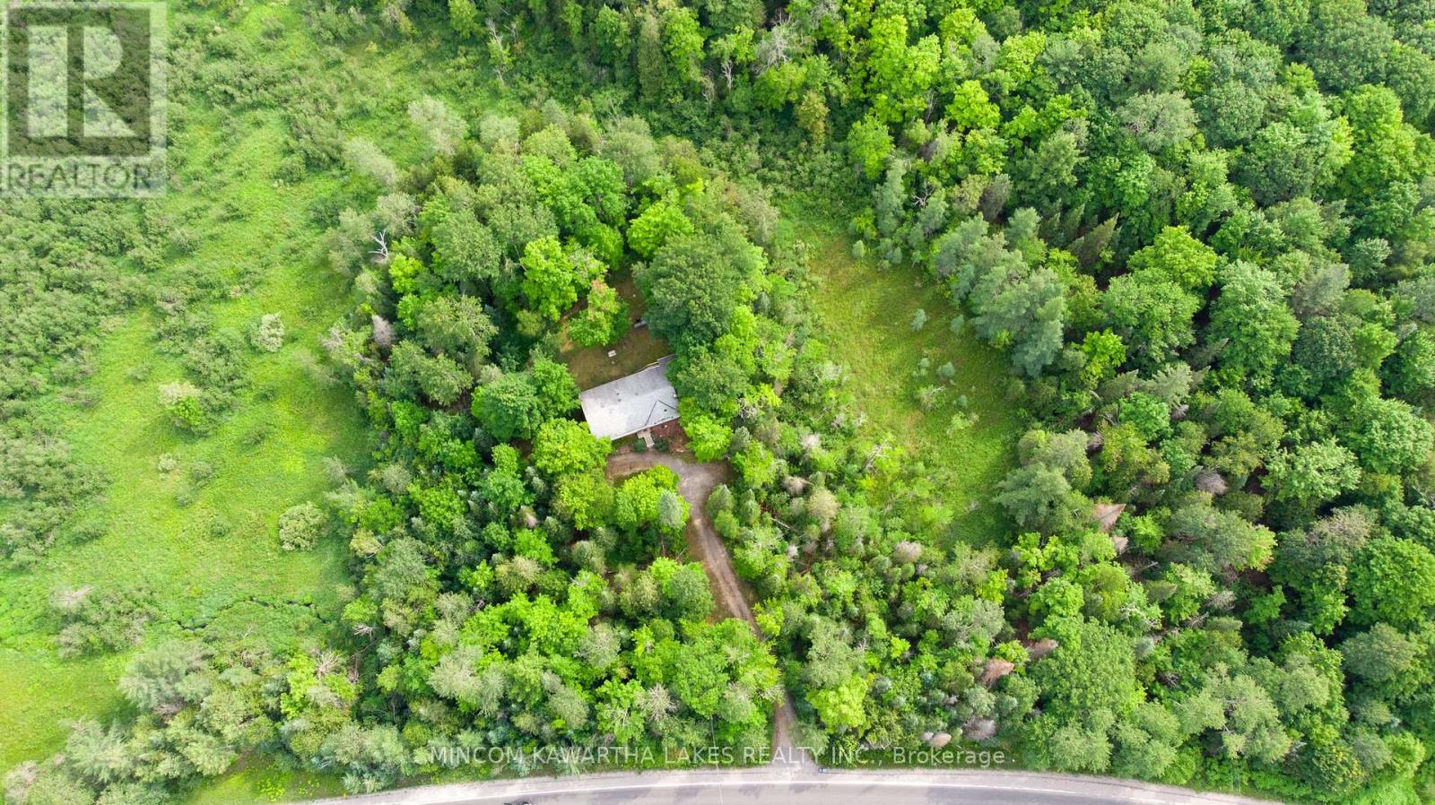 1662 County Rd 504, North Kawartha, Ontario  K0L 1A0 - Photo 40 - X12485017