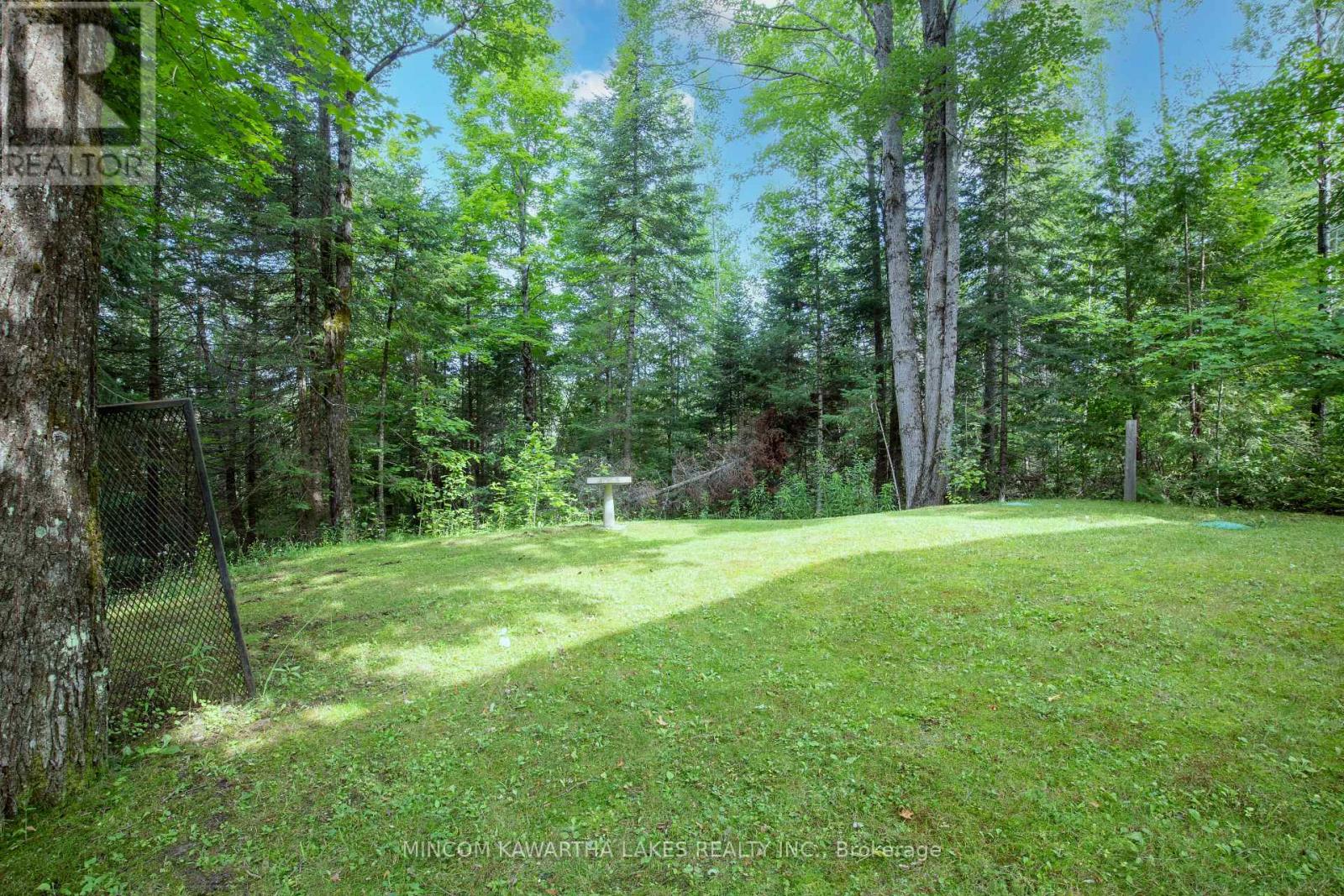 1662 County Rd 504, North Kawartha, Ontario  K0L 1A0 - Photo 45 - X12485017