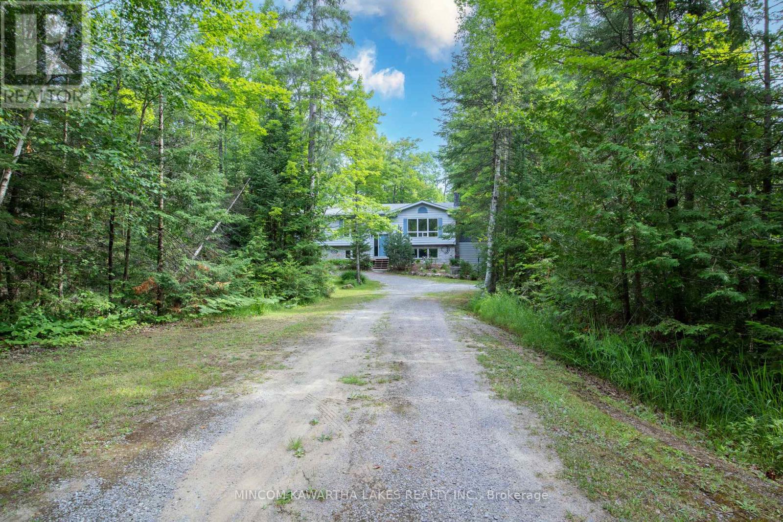 1662 County Rd 504, North Kawartha, Ontario  K0L 1A0 - Photo 6 - X12485017