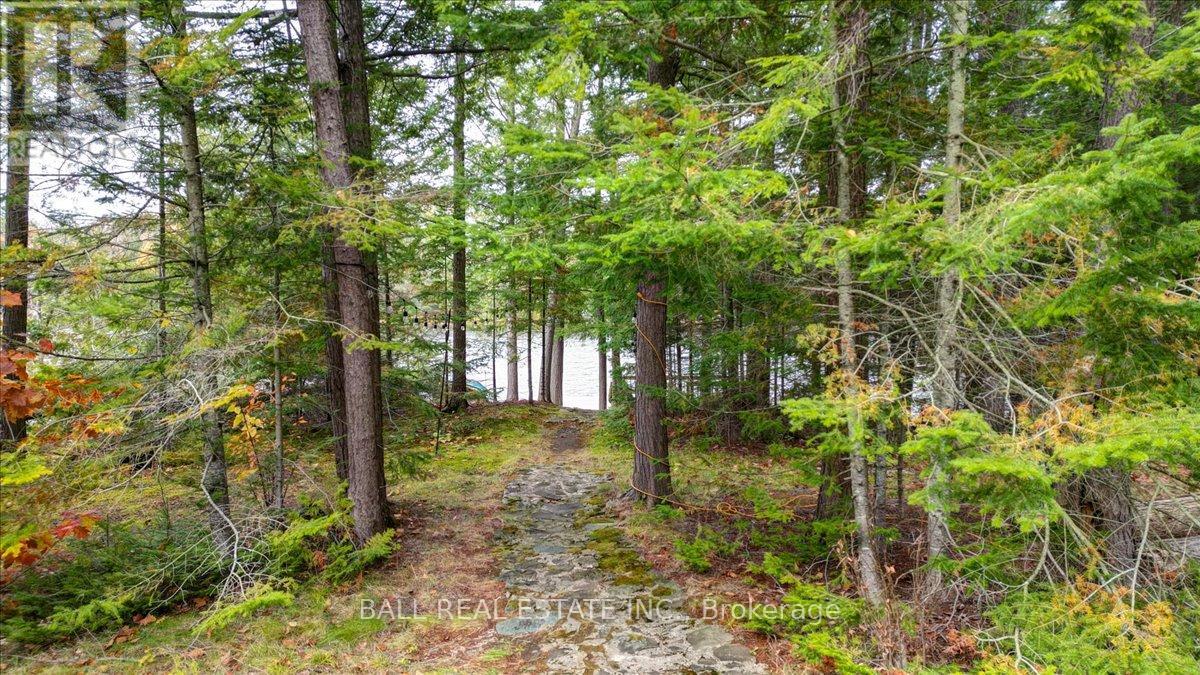 40 South Jordan Lake Road, Tudor And Cashel (Tudor Ward), Ontario  K0L 1W0 - Photo 21 - X12486033