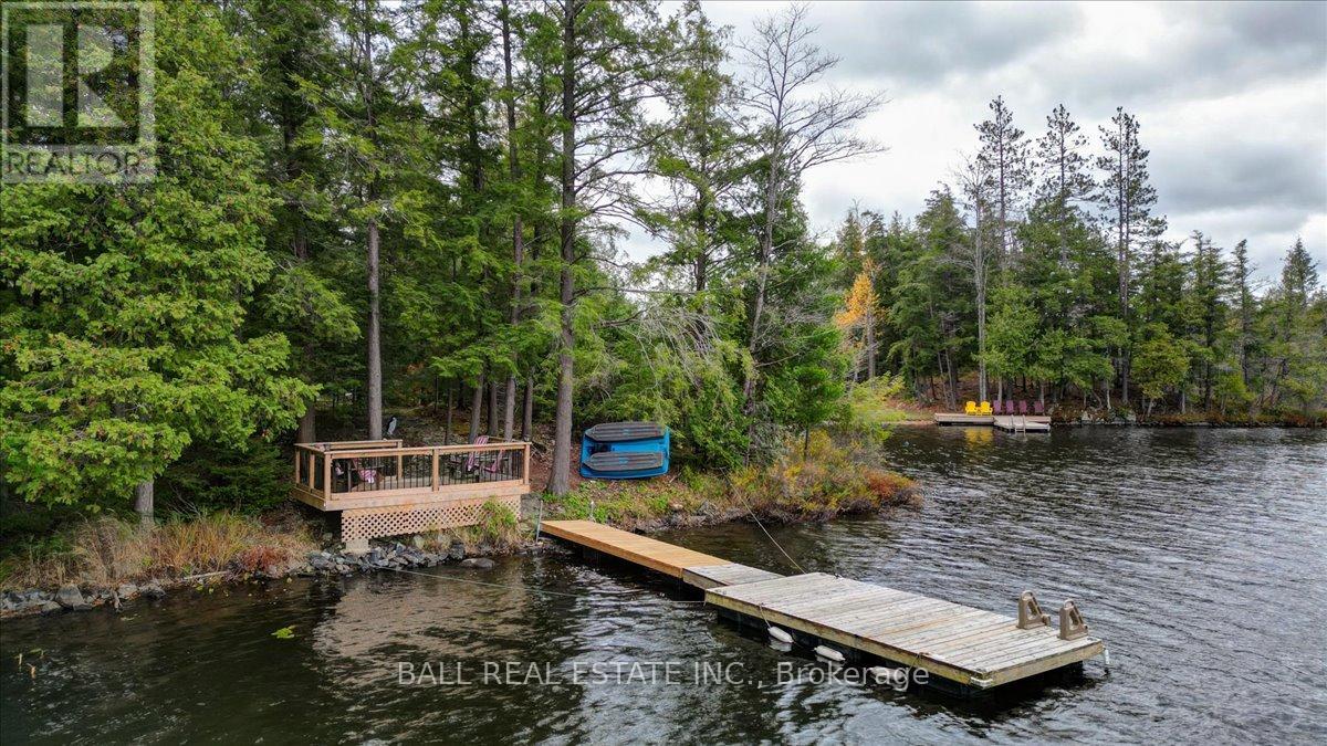 40 South Jordan Lake Road, Tudor And Cashel (Tudor Ward), Ontario  K0L 1W0 - Photo 24 - X12486033