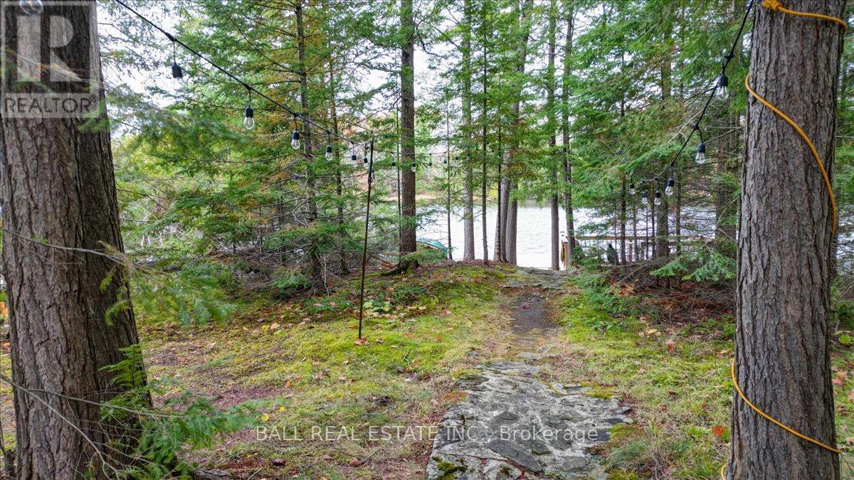 40 South Jordan Lake Road, Tudor And Cashel (Tudor Ward), Ontario  K0L 1W0 - Photo 37 - X12486033