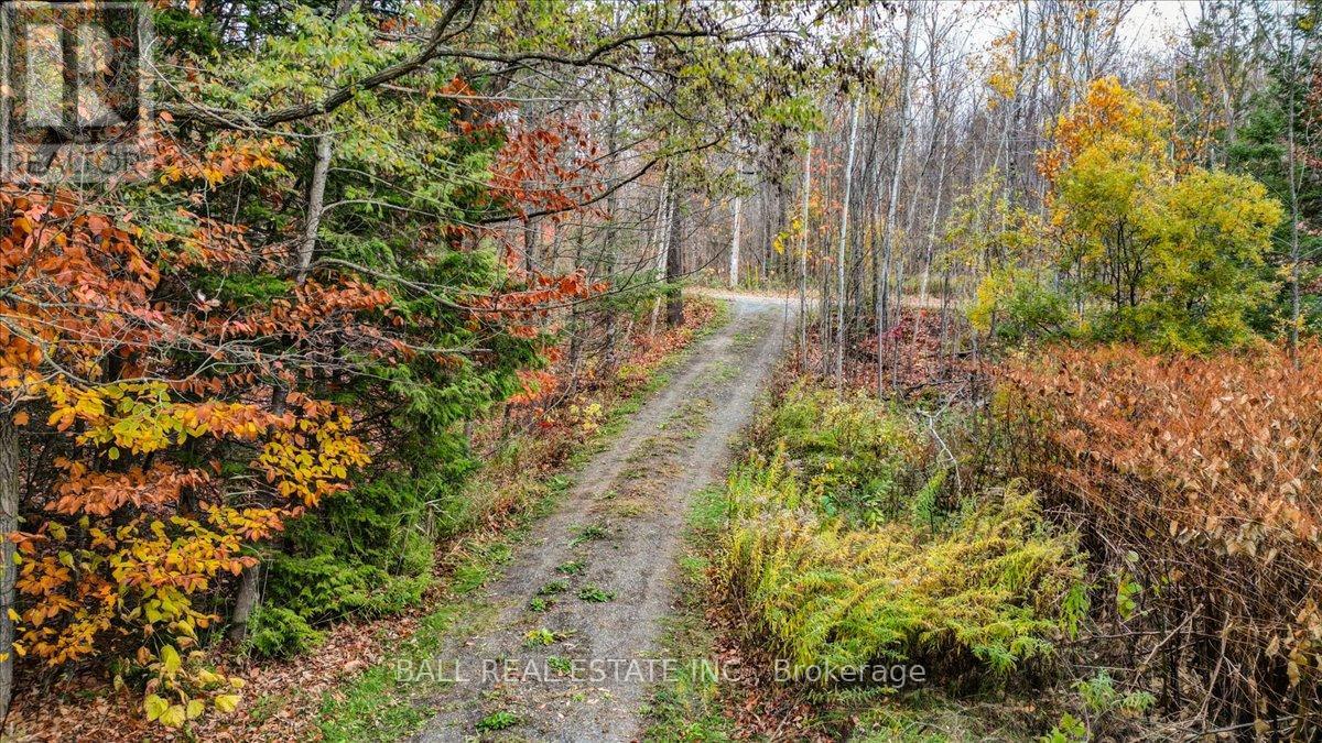 40 South Jordan Lake Road, Tudor And Cashel (Tudor Ward), Ontario  K0L 1W0 - Photo 38 - X12486033