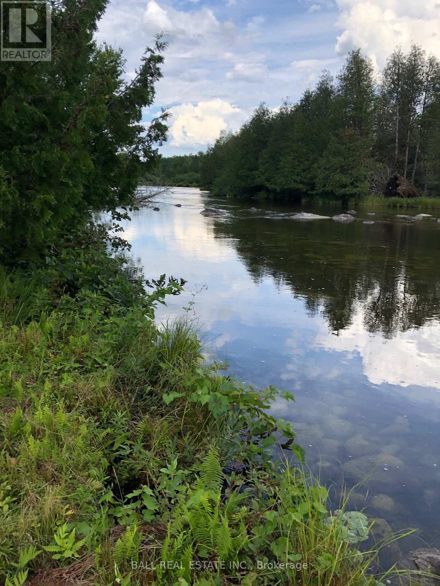 509 Sawmill Road, Douro-Dummer, Ontario  K0L 2H0 - Photo 6 - X12487379