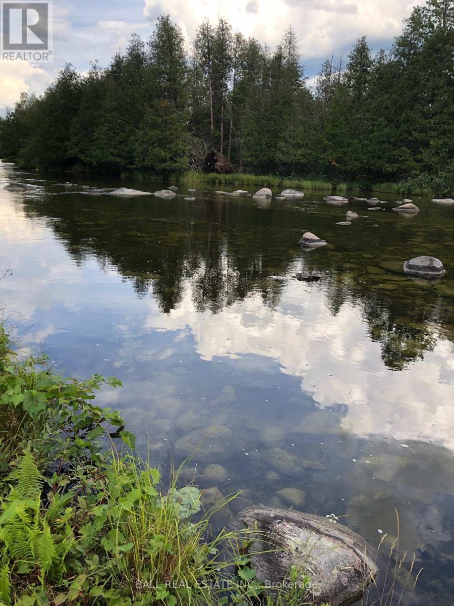 509 Sawmill Road, Douro-Dummer, Ontario  K0L 2H0 - Photo 7 - X12487379