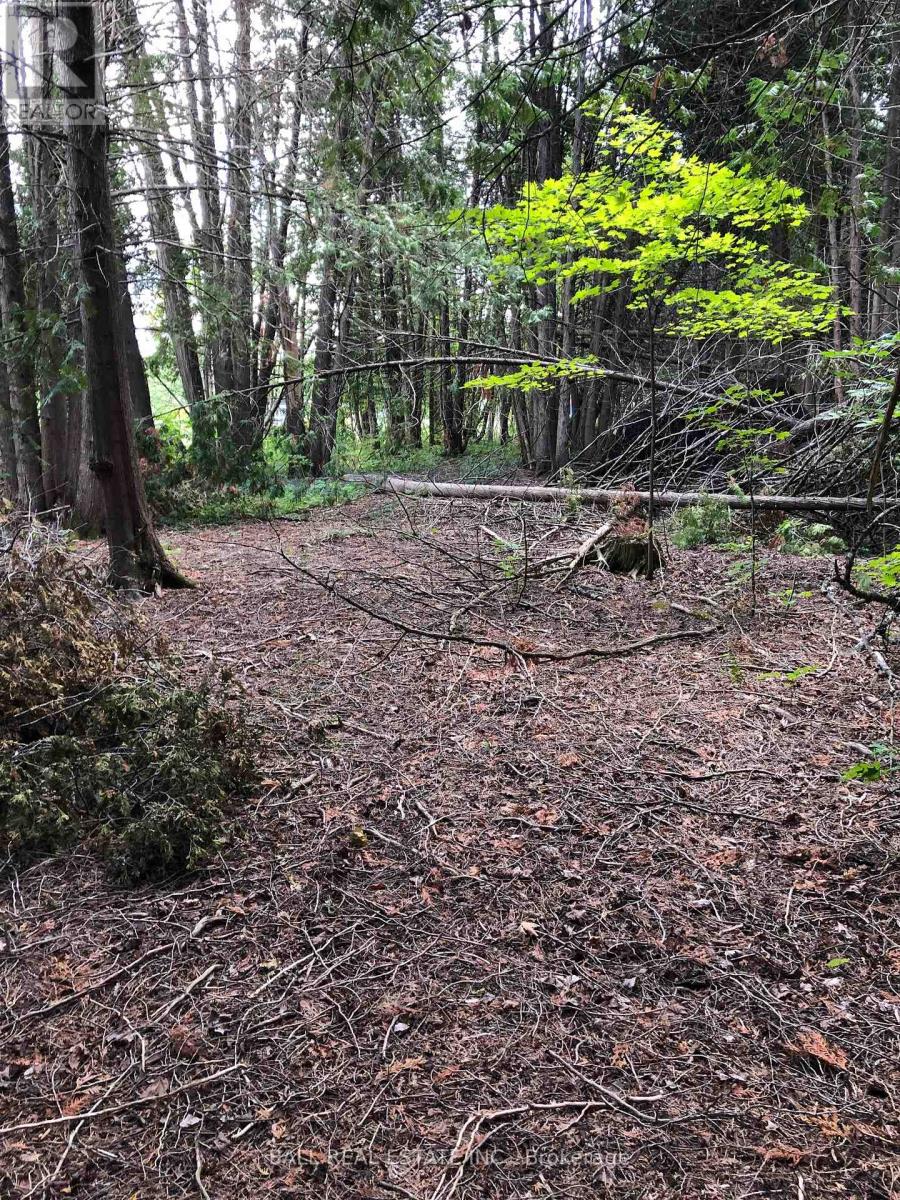 509 Sawmill Road, Douro-Dummer, Ontario  K0L 2H0 - Photo 8 - X12487379