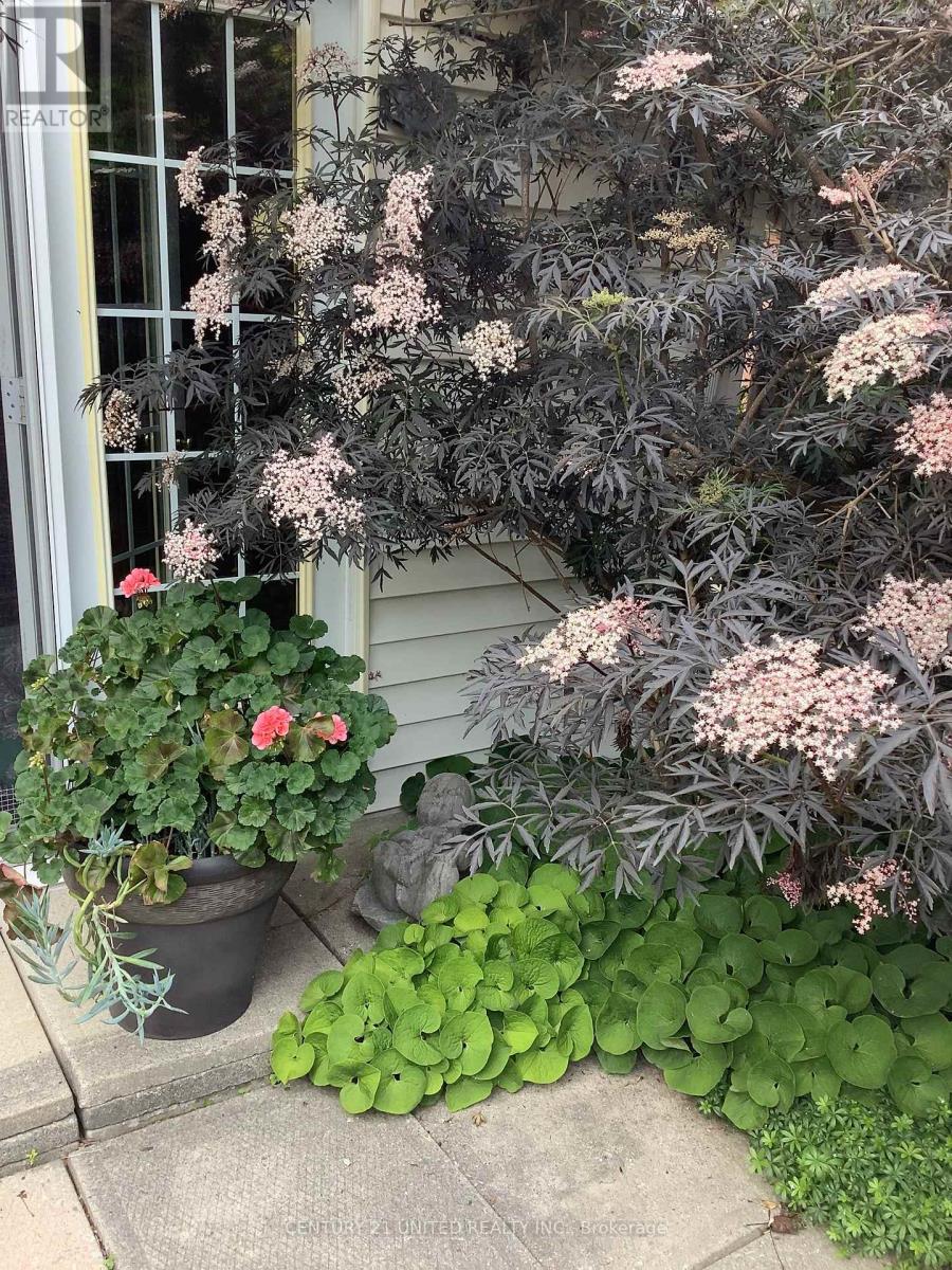 458 Driscoll Terrace, Peterborough (Ashburnham Ward 4), Ontario  K9H 1T7 - Photo 39 - X12487380