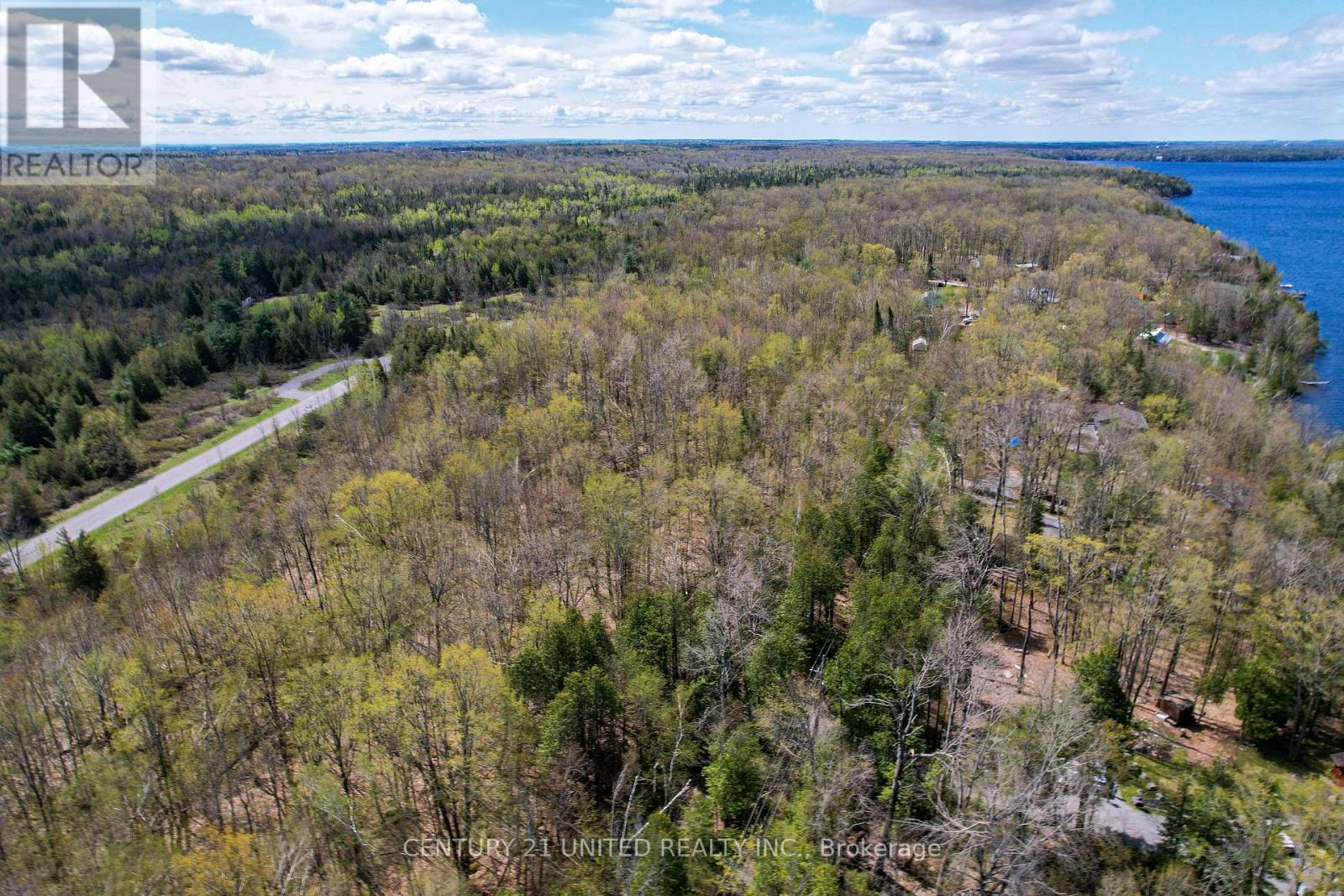 1030 Birchview Road, Douro-Dummer, Ontario  K0L 2H0 - Photo 11 - X12488012