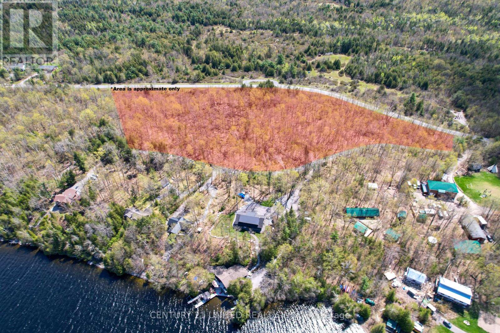 1030 Birchview Road, Douro-Dummer, Ontario  K0L 2H0 - Photo 15 - X12488012