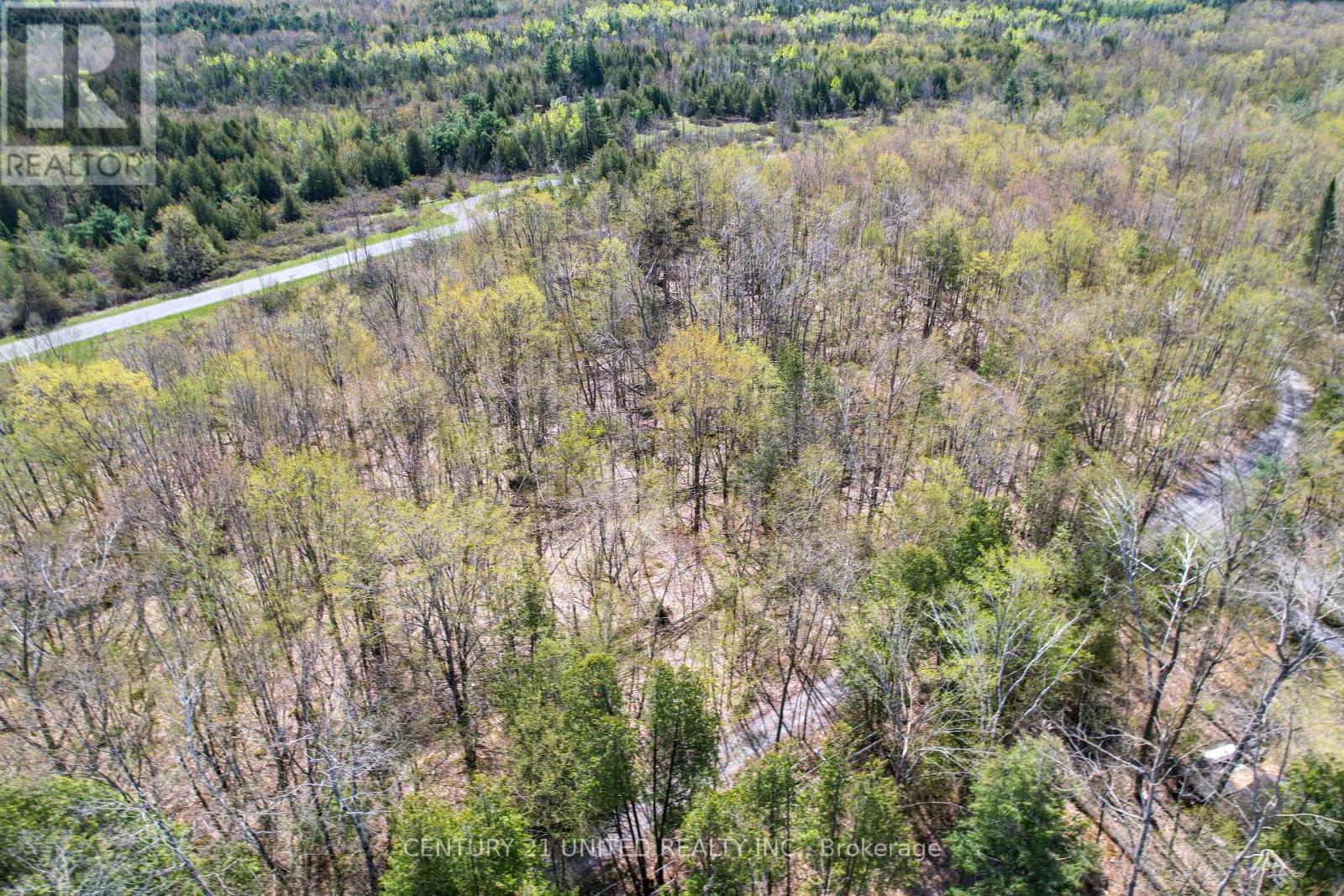 1030 Birchview Road, Douro-Dummer, Ontario  K0L 2H0 - Photo 17 - X12488012