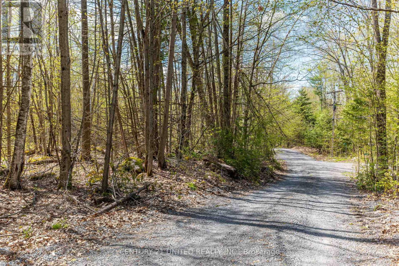 1030 Birchview Road, Douro-Dummer, Ontario  K0L 2H0 - Photo 18 - X12488012