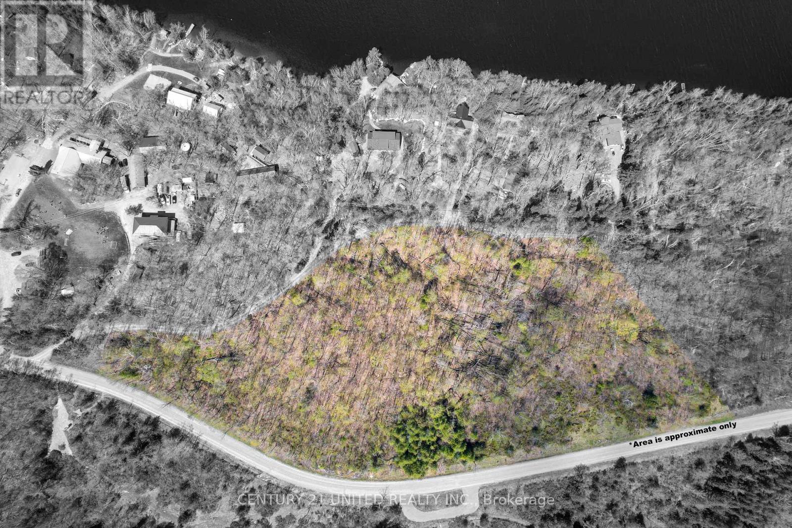 1030 Birchview Road, Douro-Dummer, Ontario  K0L 2H0 - Photo 3 - X12488012