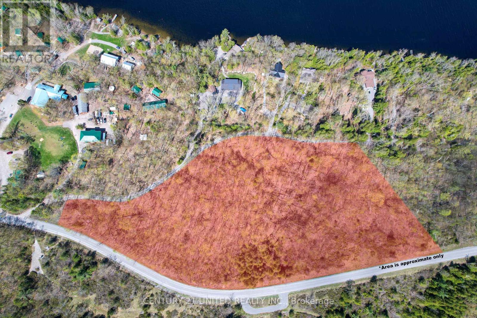 1030 Birchview Road, Douro-Dummer, Ontario  K0L 2H0 - Photo 5 - X12488012