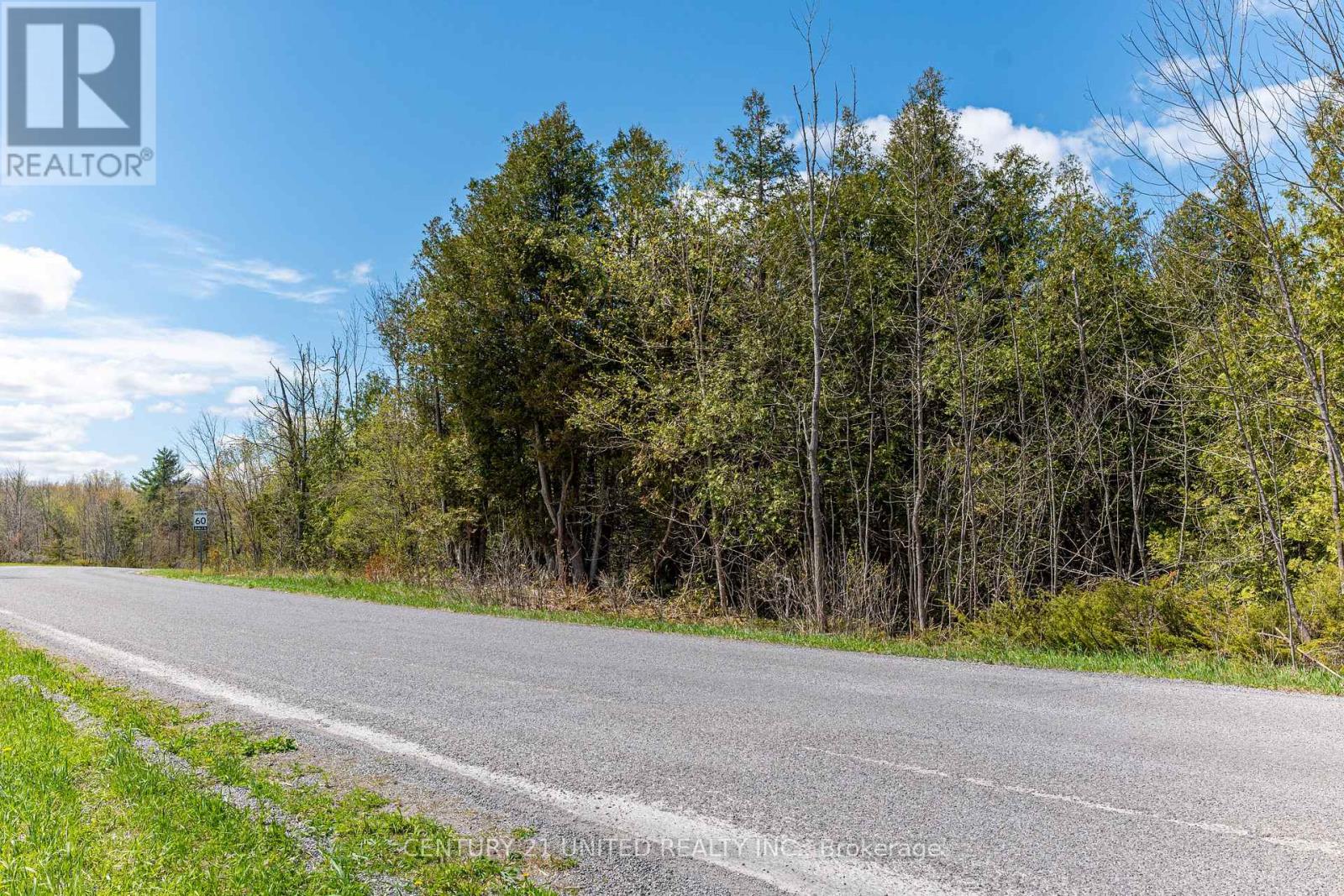 1030 Birchview Road, Douro-Dummer, Ontario  K0L 2H0 - Photo 8 - X12488012