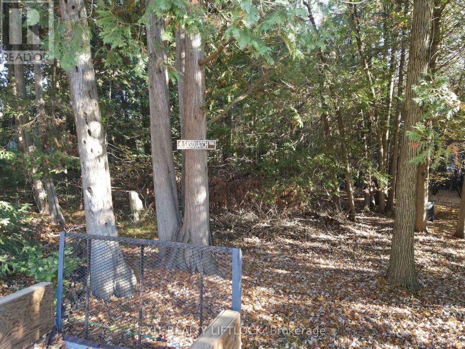 1430 Drysdale Road, Asphodel-Norwood, Ontario  K0L 2V0 - Photo 24 - X12489950