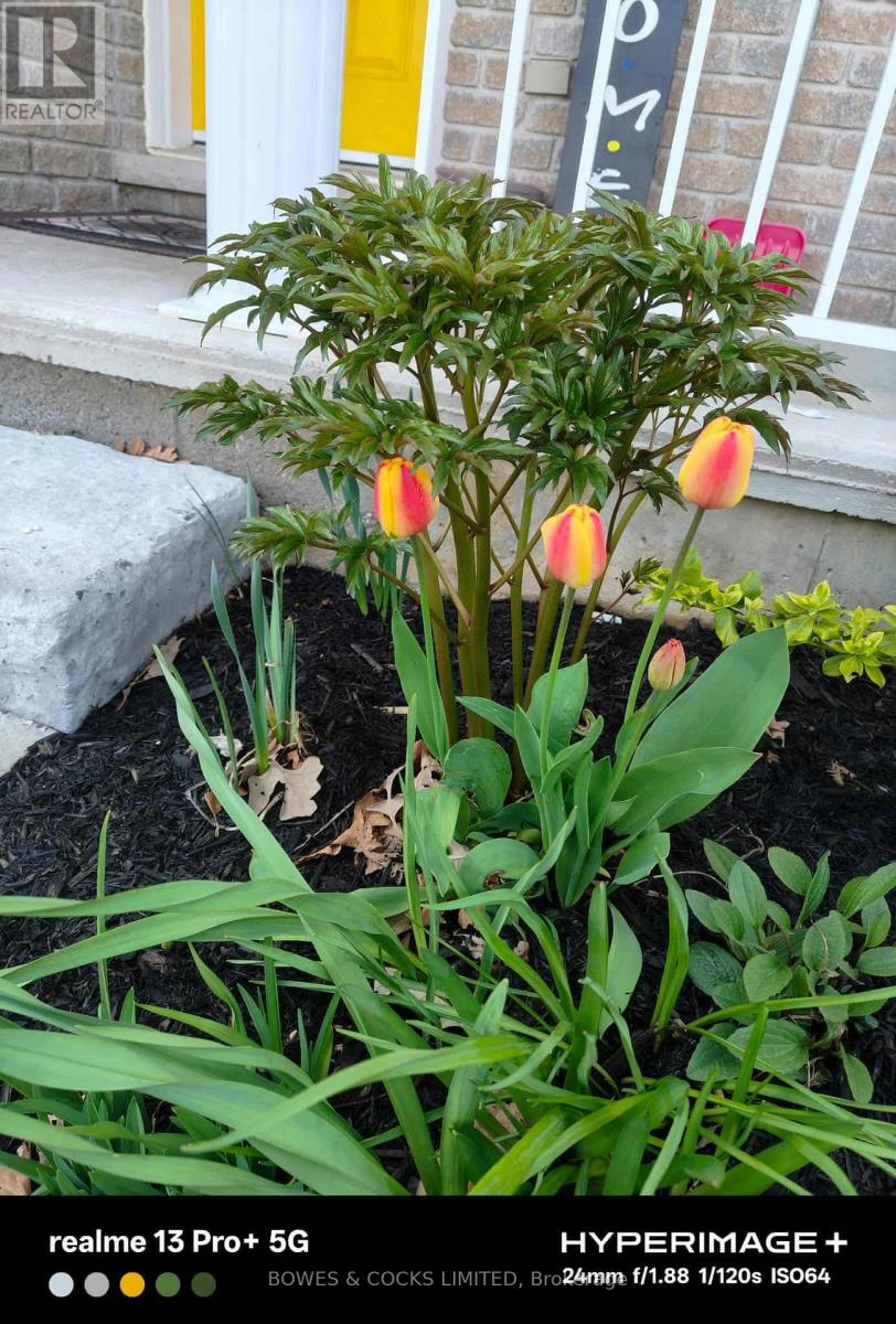 210 Farrier Crescent, Peterborough (Northcrest Ward 5), Ontario  K9L 0A6 - Photo 45 - X12489970