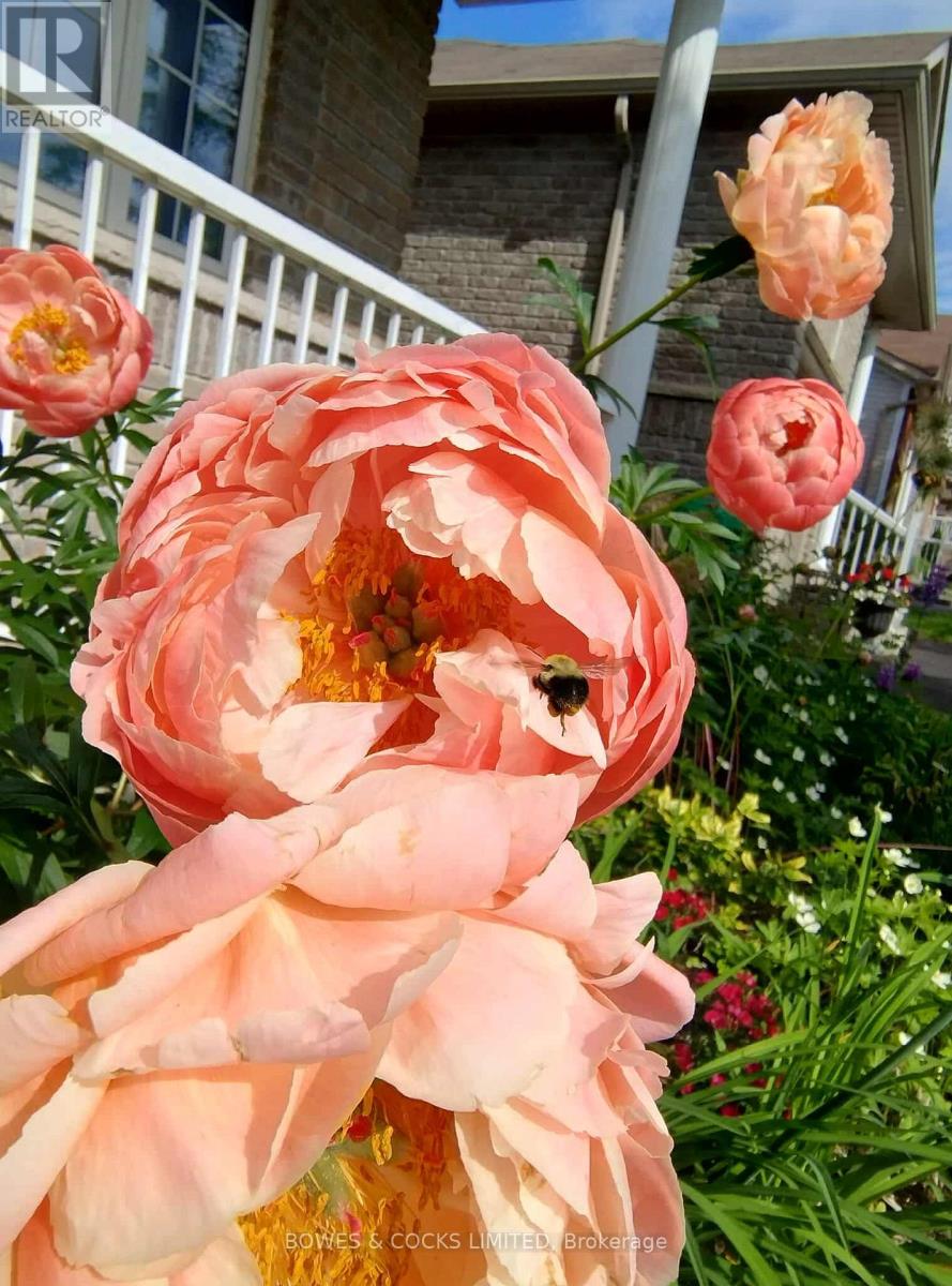 210 Farrier Crescent, Peterborough (Northcrest Ward 5), Ontario  K9L 0A6 - Photo 46 - X12489970