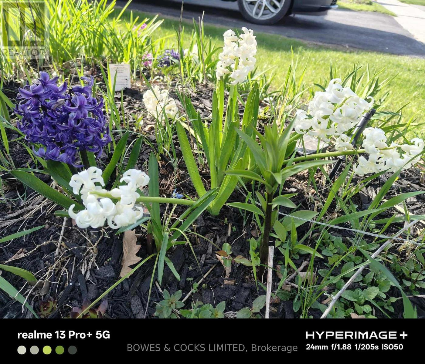 210 Farrier Crescent, Peterborough (Northcrest Ward 5), Ontario  K9L 0A6 - Photo 47 - X12489970