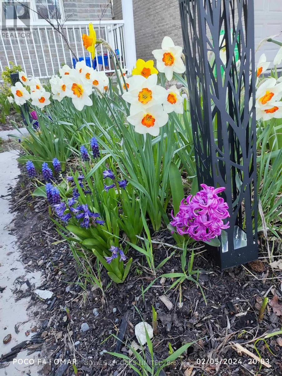 210 Farrier Crescent, Peterborough (Northcrest Ward 5), Ontario  K9L 0A6 - Photo 49 - X12489970