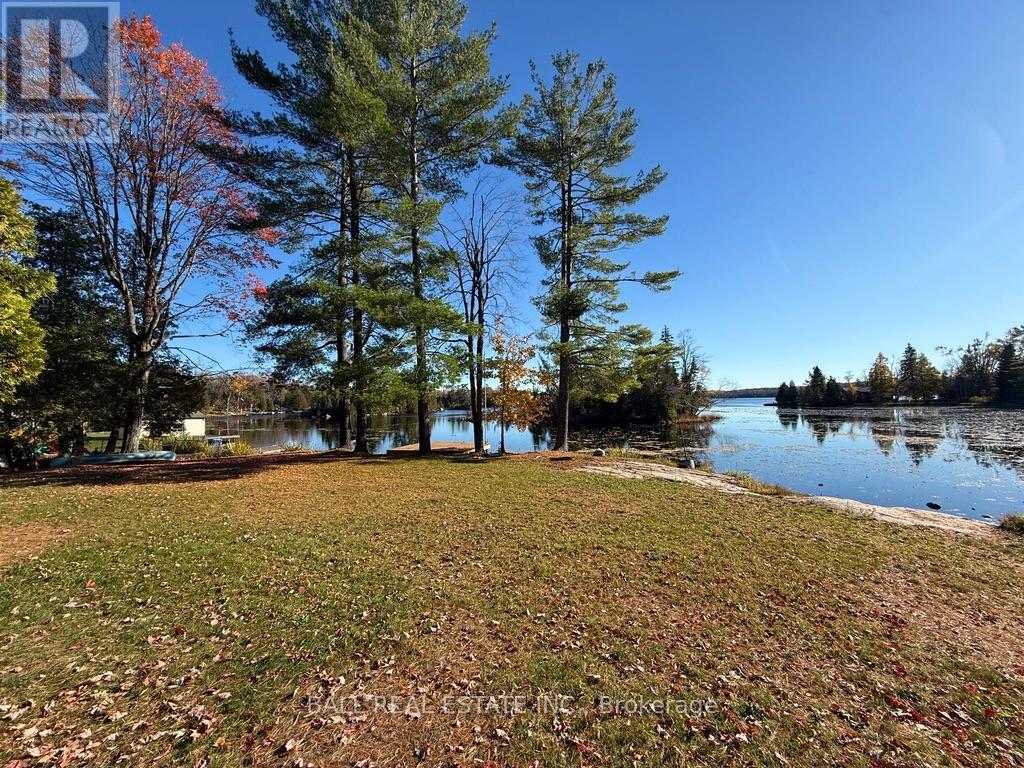 2149 Little Chipmunk Road, Douro-Dummer, Ontario  K0L 2H0 - Photo 31 - X12491638